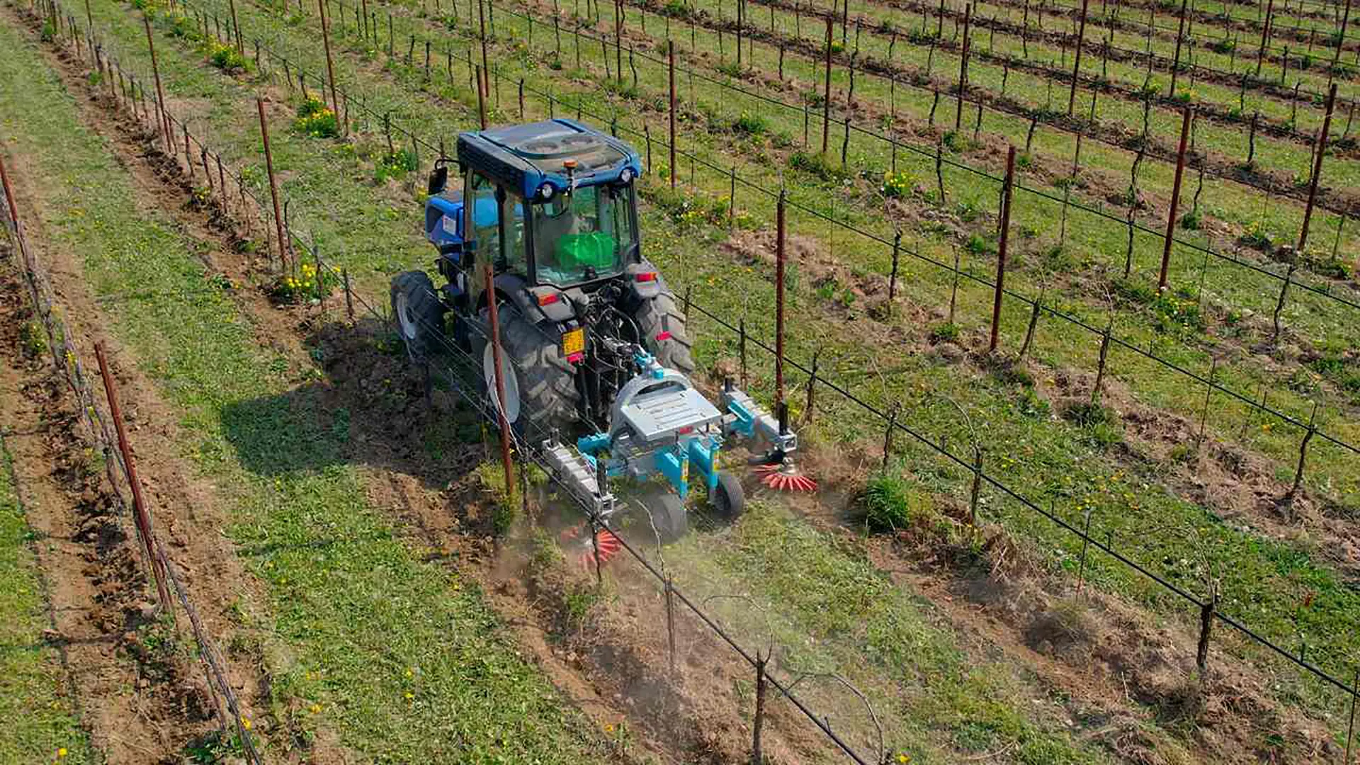 agricoltura-sostenibile-colture-specializzate