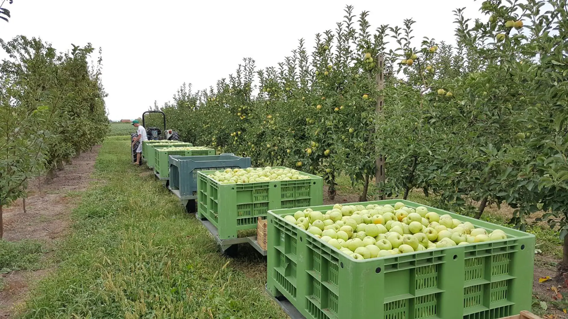 ammortizzazione-per-eventuali-danni-al-prodotto