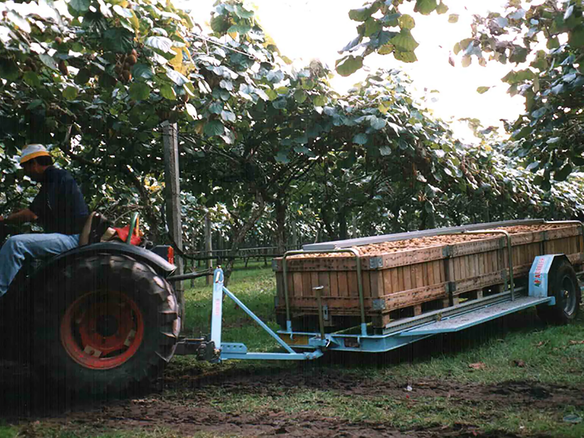 carrello-porta-bins-monoasse-con-rulliera