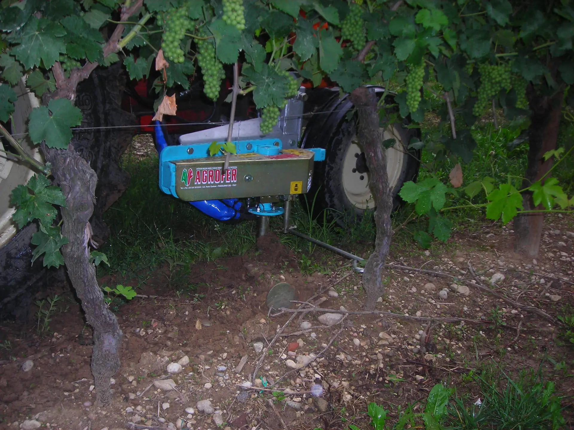 colture-in-filare-precione-rapidita-versatilita