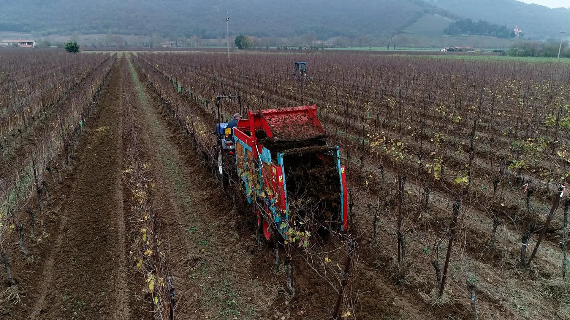 concimazione-organica-omogenea-del-fertilizzante
