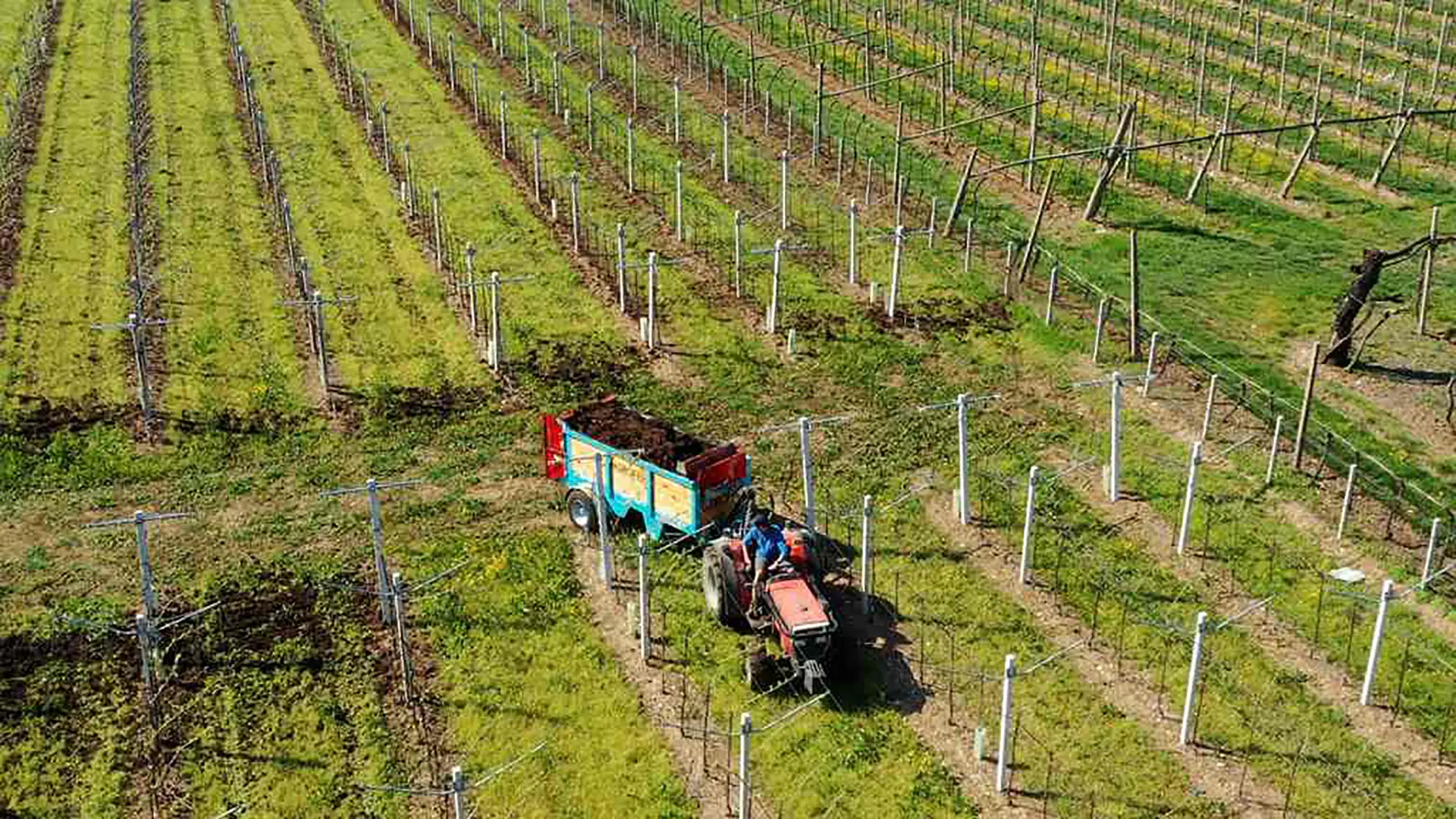 distribuzione-letame-composti-organici