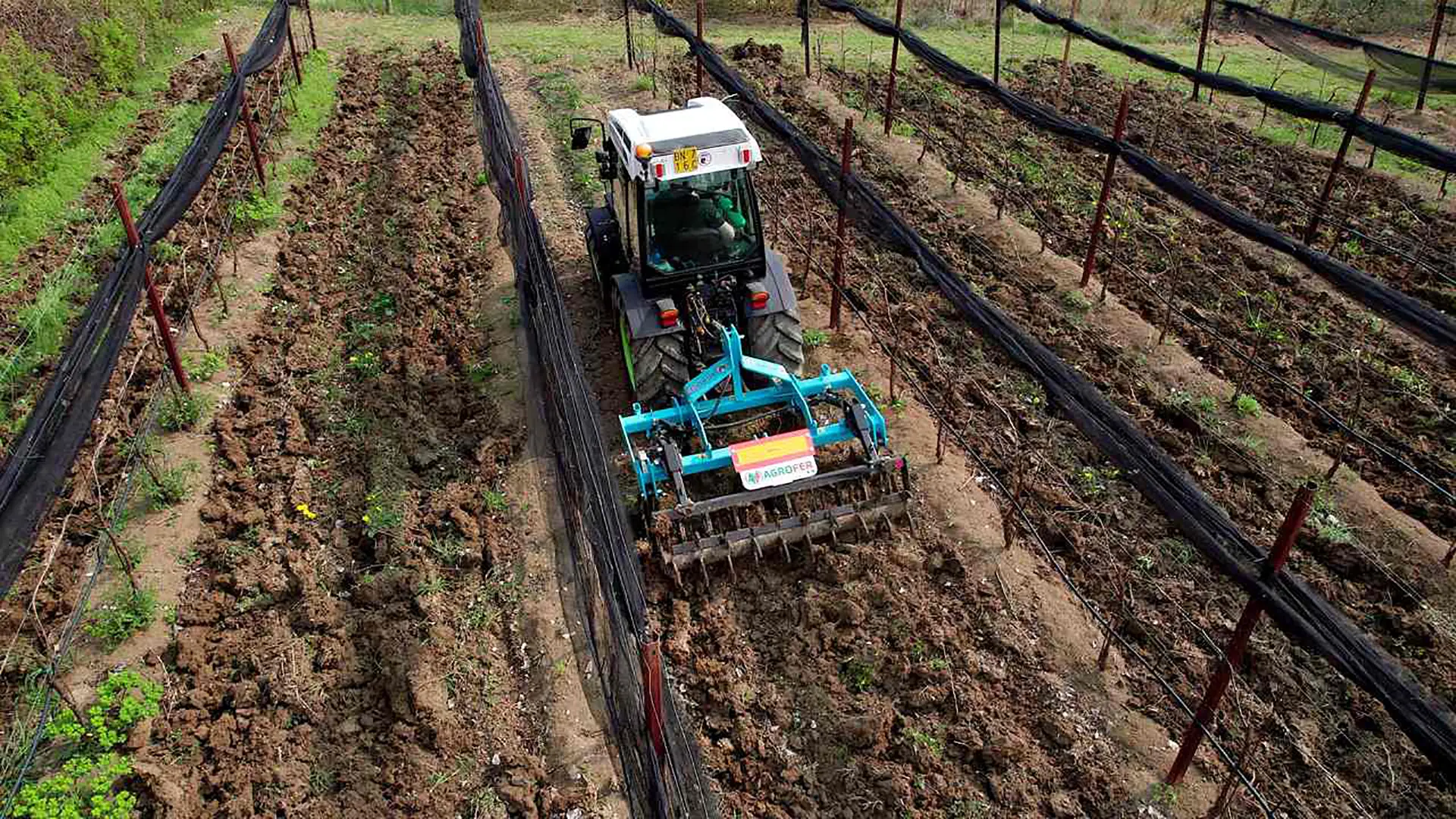punte-fisse-lavorazione-nei-filari