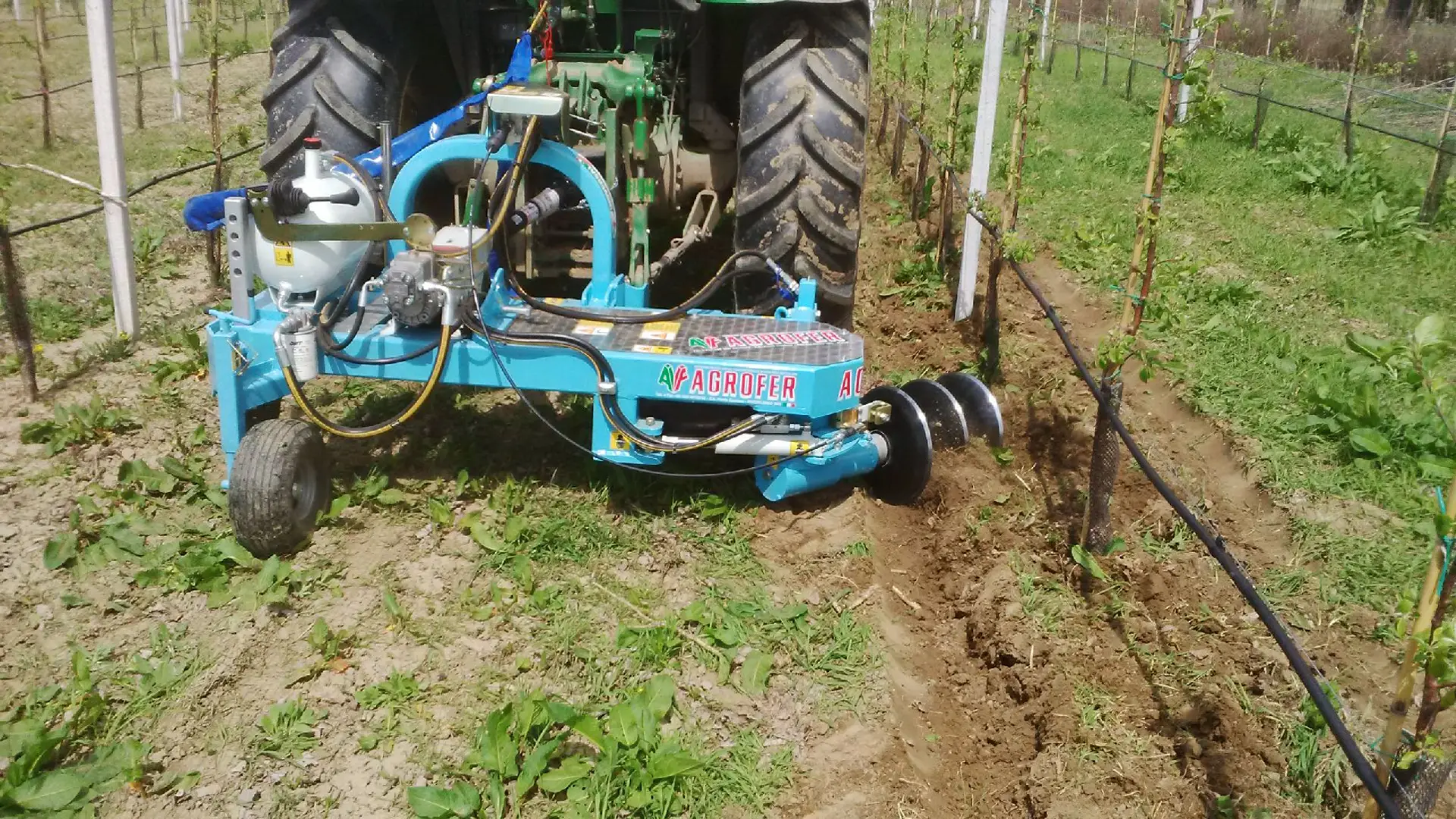 resistenza-ai-terreni-difficili-e-adattamento