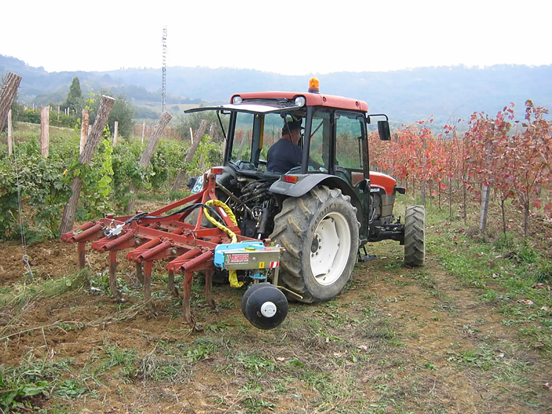 scalzatore-vigneti-e-filari