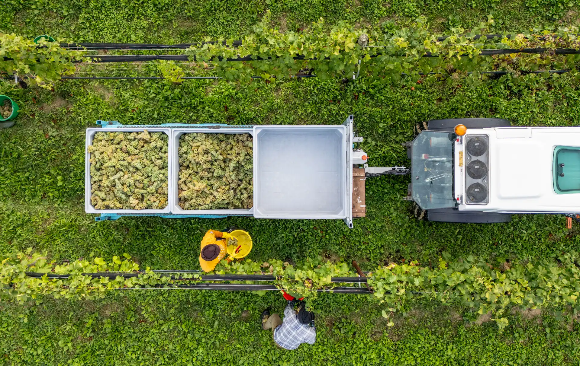 efficienti-trasporto-e-movimentazione