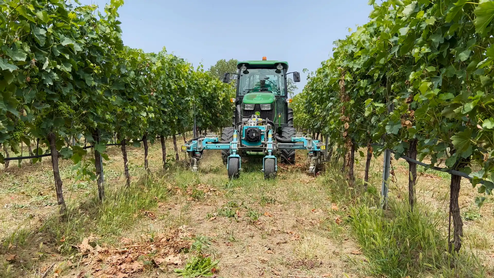 preparazione-terreno-per-trattamenti-e-coltivazioni