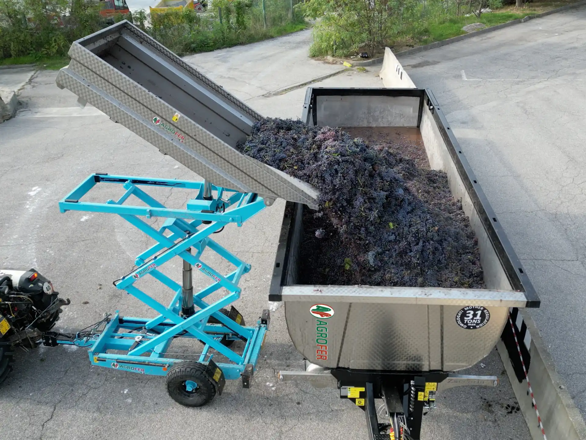 raccolta-efficiente-vigneti-frutteti