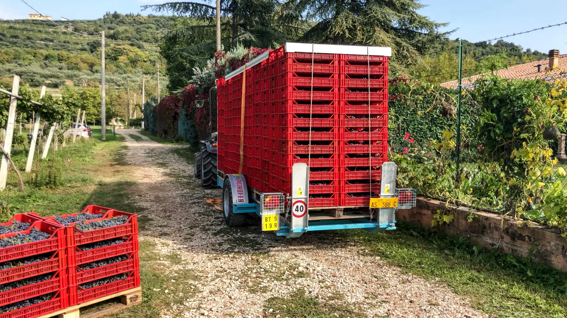 scarico-rapido-bins-assale-rigido-freno-meccanico