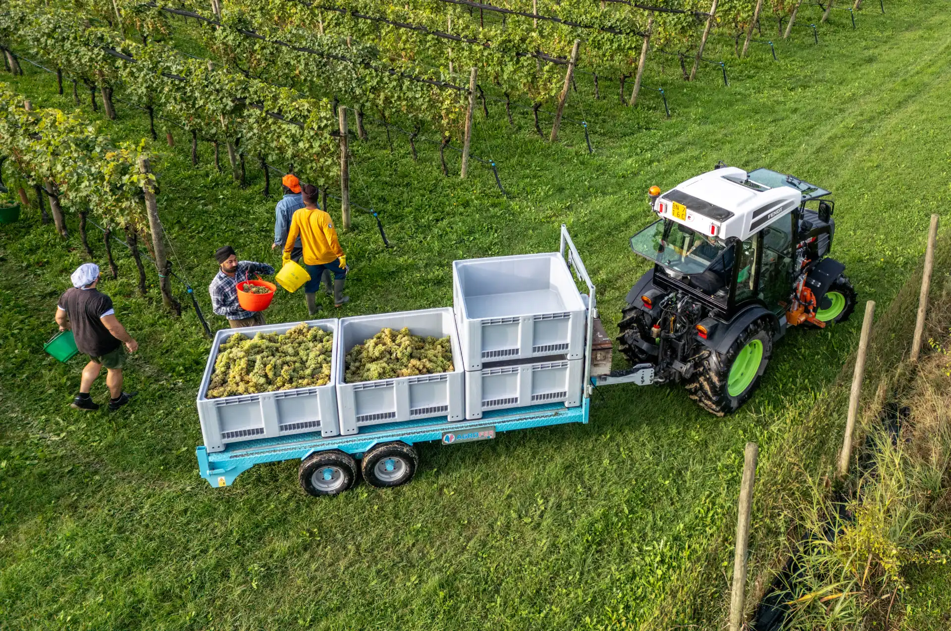 tandem-rimorchio-porta-bins