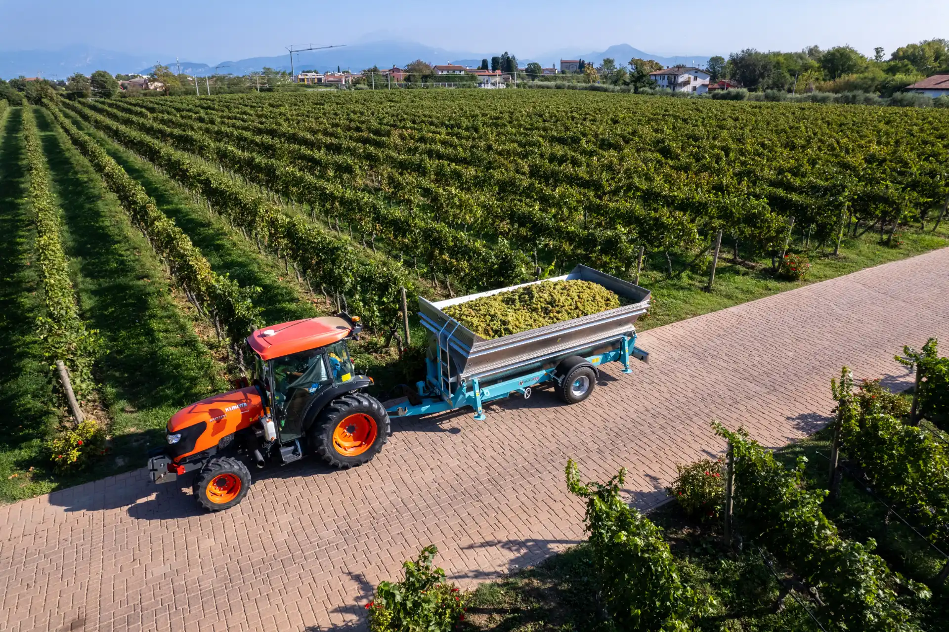 trasporto-professionale-vigneti-frutteti-e-volture