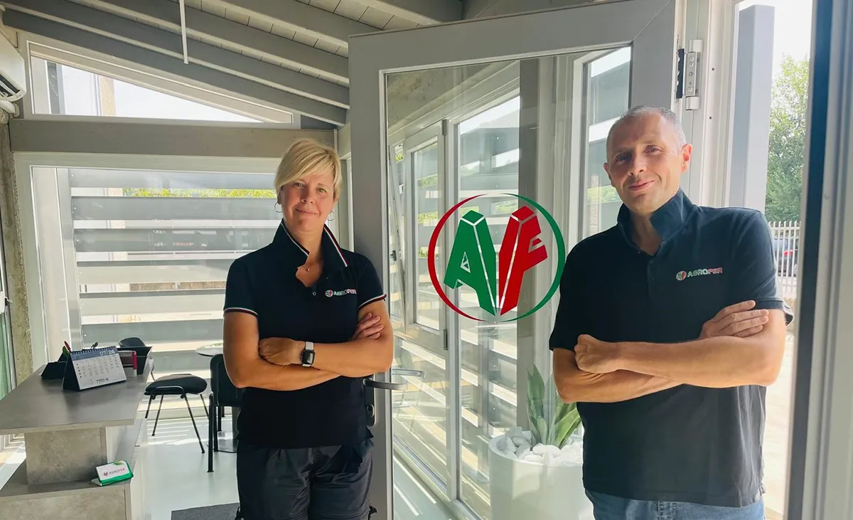 professionalita-dedizione-al-lavoro