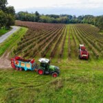 created by dji camera